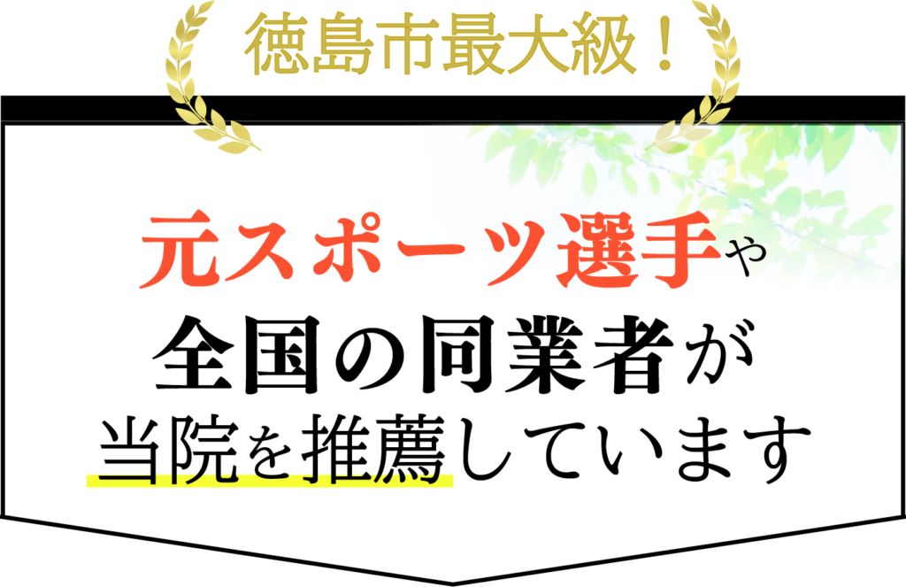 元スポーツ選手や全国の同業者が当院の施術を絶賛しています