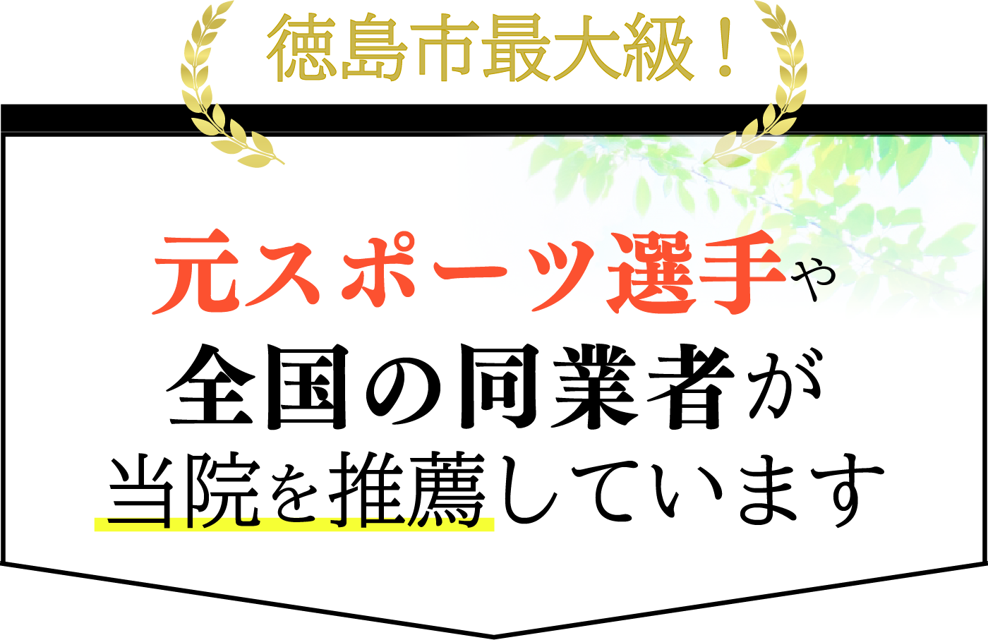 元スポーツ選手や全国の同業者が当院を推薦しています